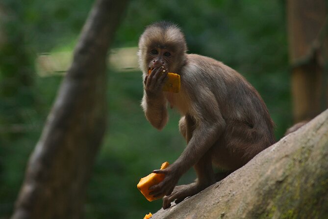 5 Days Cuyabeno Wildlife Reserve Adventure - Good To Know