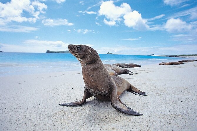5 Days Isabela and Santa Cruz Island Hopping - Tour Highlights