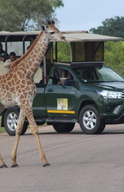 5 Days-Kruger Park and Panorama Route Tour From Johannesburg - Good To Know