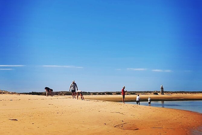 5 Hour Boat Tour in Ria Formosa - Tour Overview