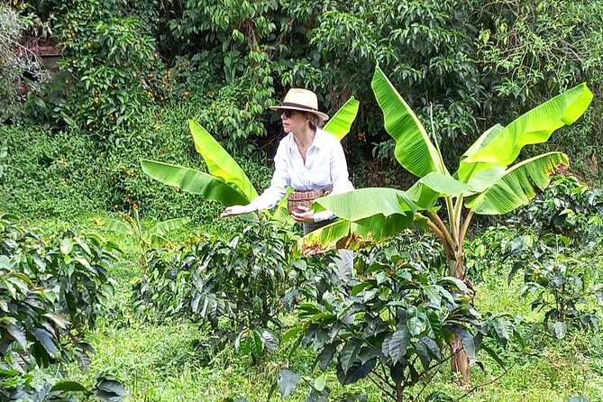5-Hour Coffee and Pablo Express Mix Tour in Medellín - Good To Know