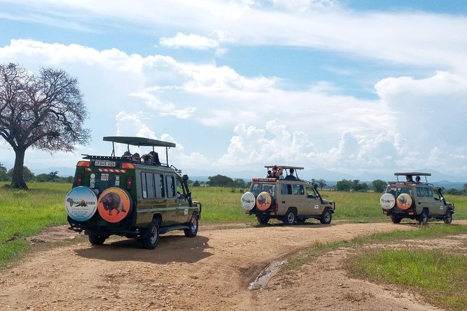 1 Day Safari to Mikumi National Park - Participant Requirements