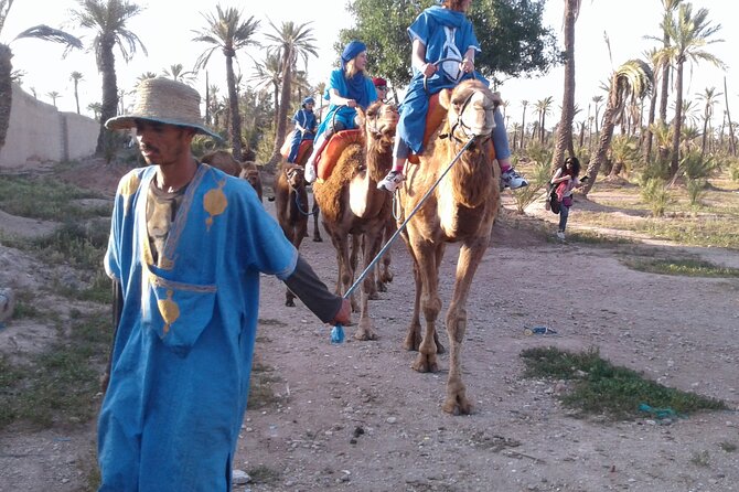 1-Hour Camel Ride in La Palmeraie Marrakech With Hotel Pick up - Group Size and Cancellation Policy