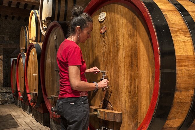 1-Hour Experience With Brunello. Visit to the Vineyard and Cellar - Vineyard and Cellar Visit