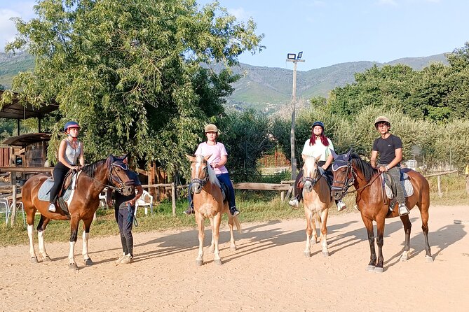 1 Hour Horseback Ride in Valgraziosa Review - Reviews and Feedback