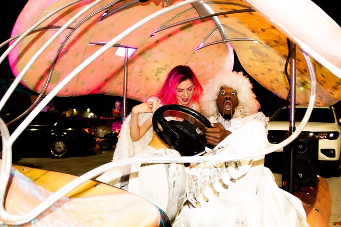 1 Hour Lady Buggy Art Tour Experience in Wynwood - Customer Reviews and Feedback
