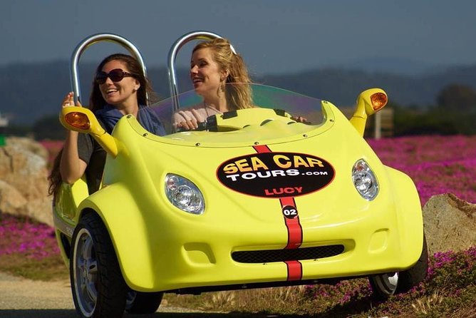 1-Hour Monterey and Cannery Row GoCar Tour - Safety Requirements