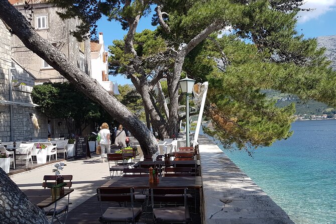 1 Hour Private Walking Tour in Korcula - Discovering Marco Polos Birthplace