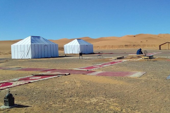 1 Night Camel Trekking Tour in Merzouga Desert Camp - Accessibility and Inclusivity