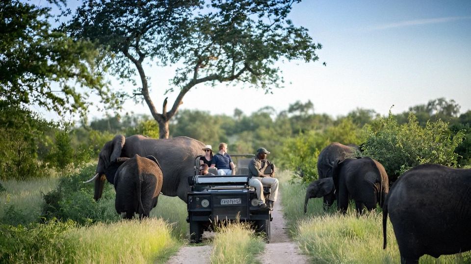 10 Day Kruger and Beyond Photographic Tour - Guiding and Accessibility