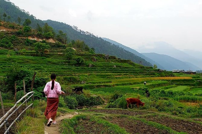 10 Days Essence of BHUTAN - Bumthang Valley Experience