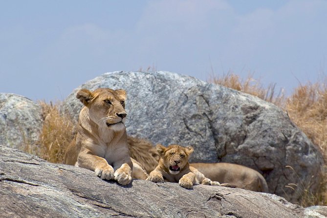 12-DAY Kenya and Tanzania Safari Private Lodge Safari From Nairobi - Optional Activities