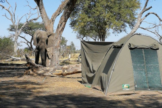 13 Day WILDERNESS TRAIL: Best Of Northern Botswana -WildCamping + Victoria Falls - Pricing and Inclusions