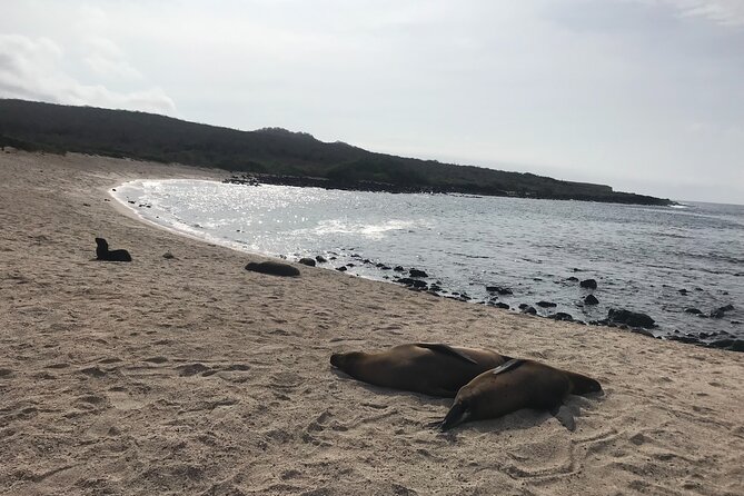 17-DAY Ecuador and Galapagos Islands Hidden Treasure With Boutique Style Hotels - Exploring the Galapagos Islands