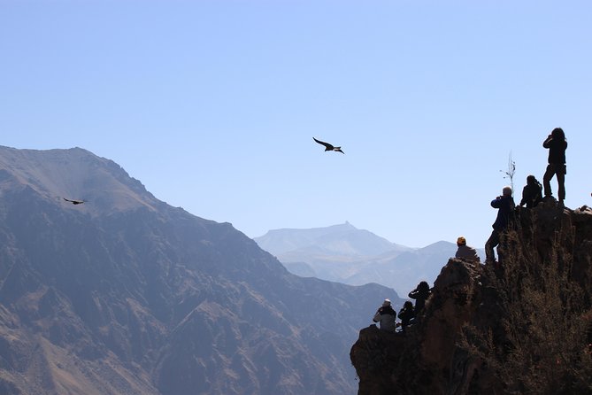 2 Day Colca Canyon, Vicuna Reserve and Condors From Arequipa - Accommodation and Logistics