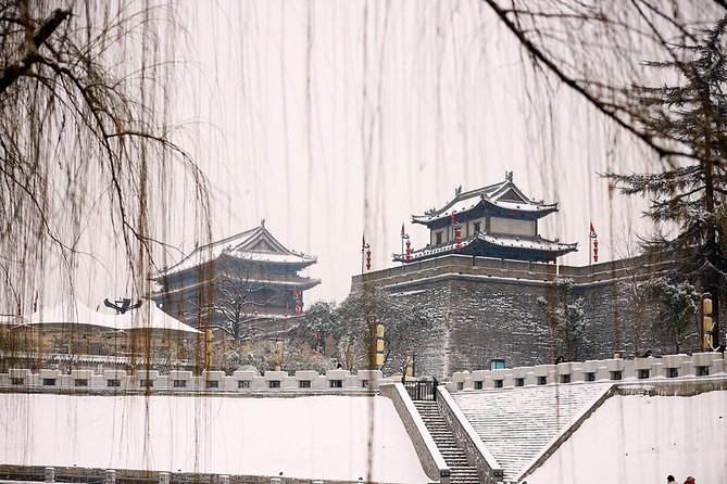 2-Day Private Classic Xian City Tour From Beijing by Bullet Train - Local Cuisine and Culture