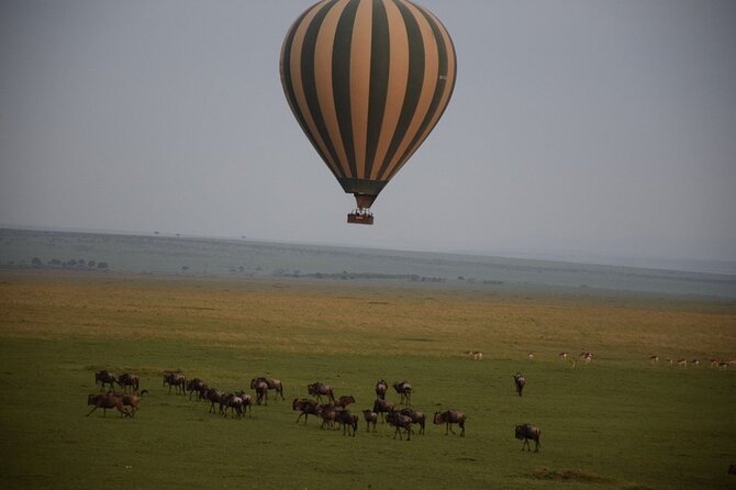 2-Day Private Tour in Masai Mara With Pick up - Pricing Details