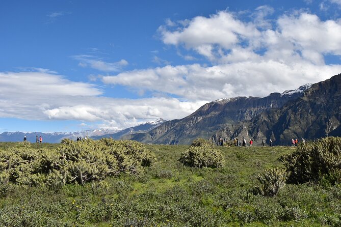 2-Day Tour to the Magical Colca Canyon - Day 2 Itinerary