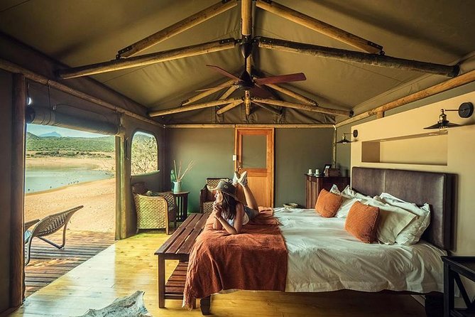 2 Day Wild Heart Western Cape Safari Tour With Private Transfers - Itinerary Flexibility and Customization