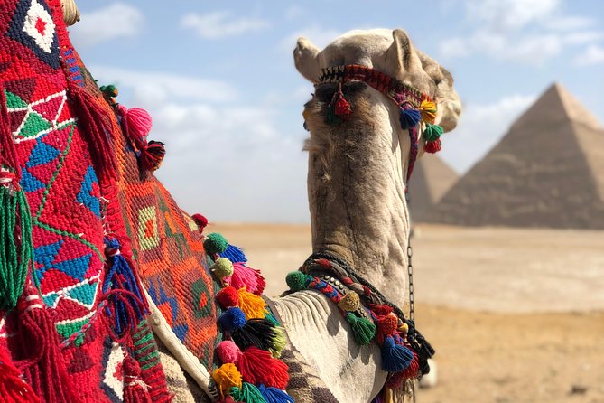 2 Days Cairo and Giza Attractions, Private Tour All Inclusive - Reviews and Recommendations