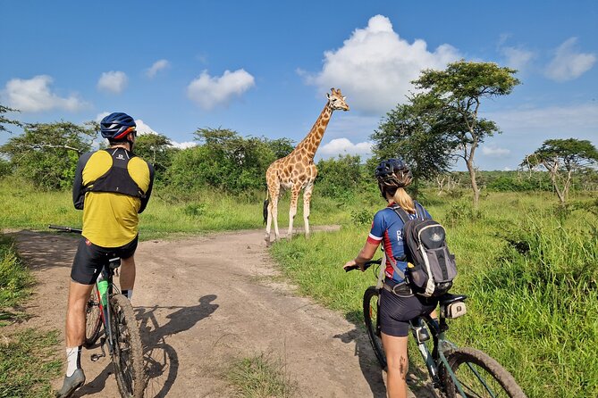 2 Days Cycling Safari To Lake Mburo National Park - Health and Safety Considerations