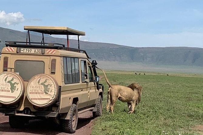 2 Days Group to Tarangire & Ngorongoro Lodge Safari Tanzania - Accessibility and Recommendations