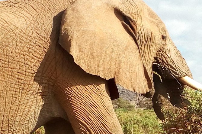 2 Days Maasai Mara National Reserve Safari From Nairobi - Transportation and Logistics
