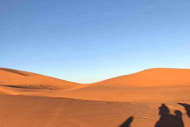 2 Days Trip in a Small Group From FEZ to FEZ Passing by MERZOUGA - Return to Fez
