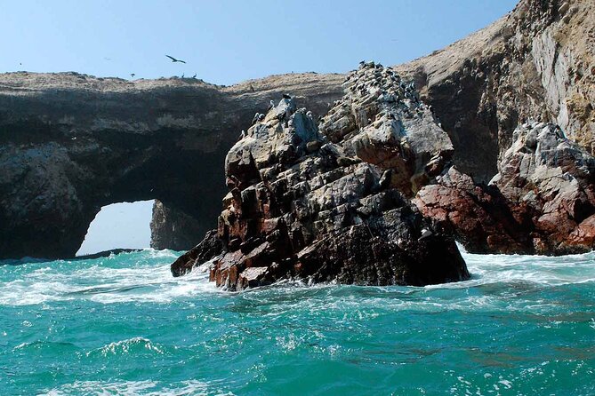 2-Hour Ballestas Islands Tour by Modern Boat - Boat Ride Experience