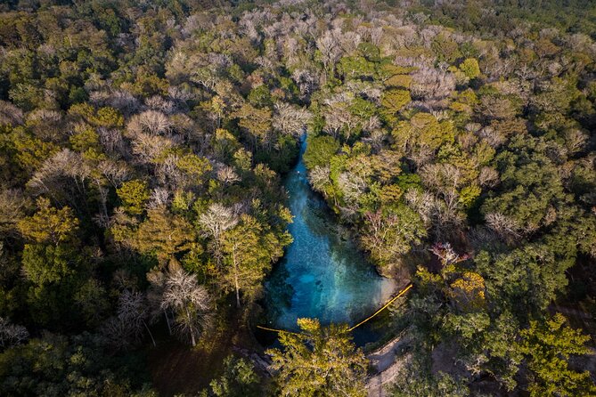 2 Hour Glass Bottom Guided Kayak Eco Tour in Gilchrist Blue - Accessibility and Health Considerations
