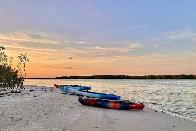 2 Hour Guided Kayak Tour in Boca Ciega Bay - St. Pete - Wildlife and Ecosystems