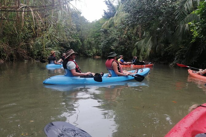 2-Hour Kayak Tour in Quepos - Accessibility Considerations