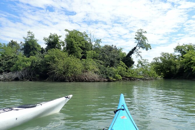2 Hour Night Kayak Tour in Venice, Premium Experience With Sunset - Discover the Venetian Lagoon