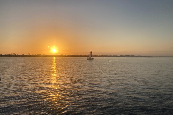 2 Hour Private Dolphin Sightseeing Tour - Accessibility and Additional Information