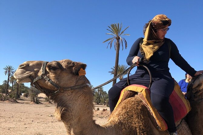 2-Hour Quad Bike & Camel Ride in Marrakech Palmeraie - Safety and Equipment