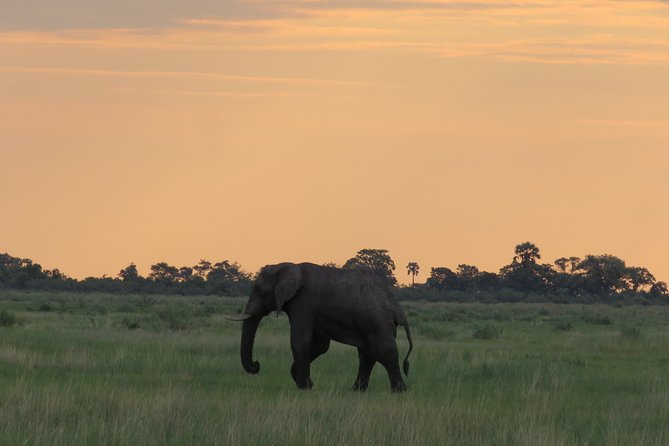 2 Nights Okavango Delta Mokoro Wildcamping Tour, All-Inclusive - Best Time to Visit