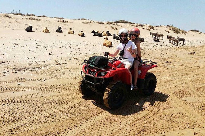 2h Quad Bike on the Beach and in the Dunes - Pricing and Booking Information
