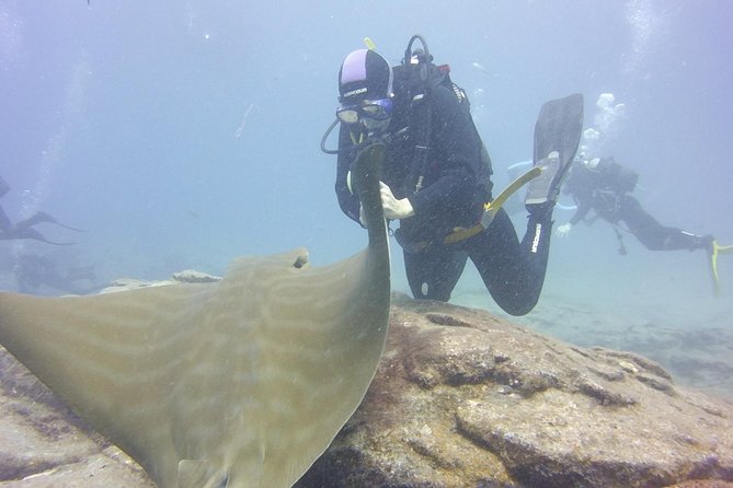 2x Diving Package, on Request Including Refreshment - Customer Reviews