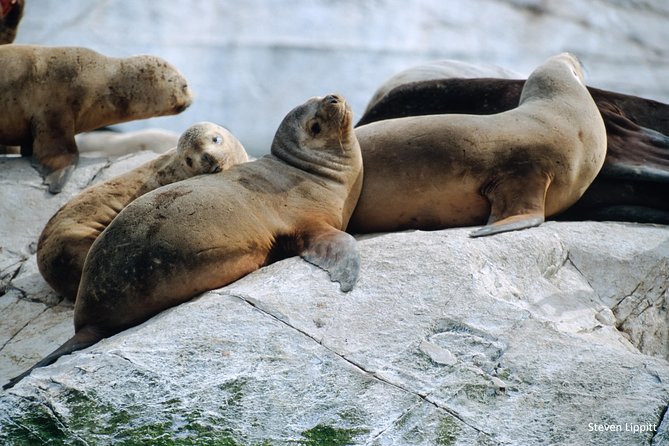 3-Day Adventure Tour of Ushuaia: Hiking, Canoeing and Sailing at the End of the World - Accommodation and Meals Included