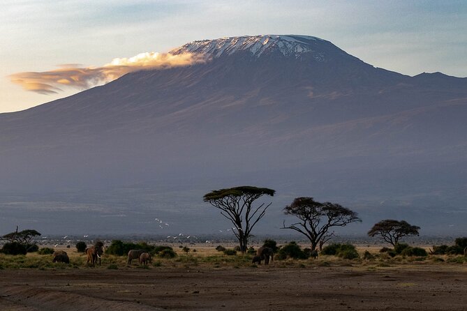 3-Day Amboseli Safari From Nairobi - Wildlife and Scenery