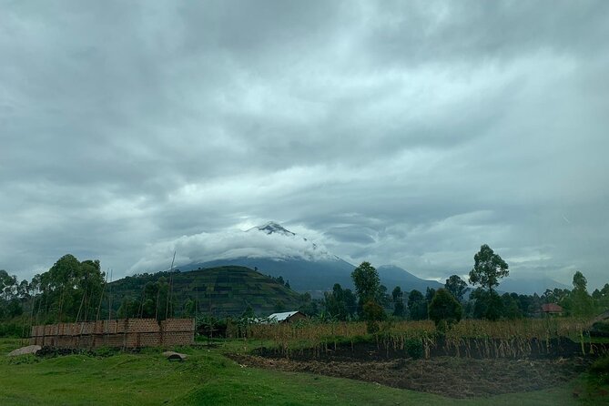 3 Day Gorilla Trek at Bwindi National Park via Kigali - Planning Your Gorilla Trek