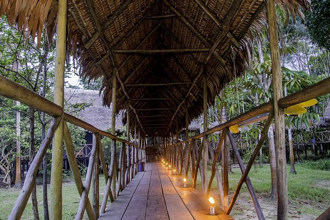 3 Day Iquitos Jungle Adventure at Muyuna Lodge - Nighttime Nature Walk