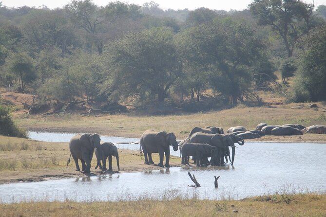 3 Day Kruger National Park and Crocodile River Safari - Taking in Krugers Wilderness