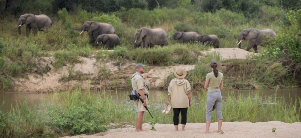 3 Day Kruger National Park Private Tour From Johannesburg - Frequently Asked Questions