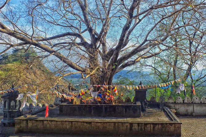 3 Day SriLanka Cultural Tour:Dambulla/ Sigiriya/ Polonnaruwa / Minneriya/ Kandy - Customer Experiences