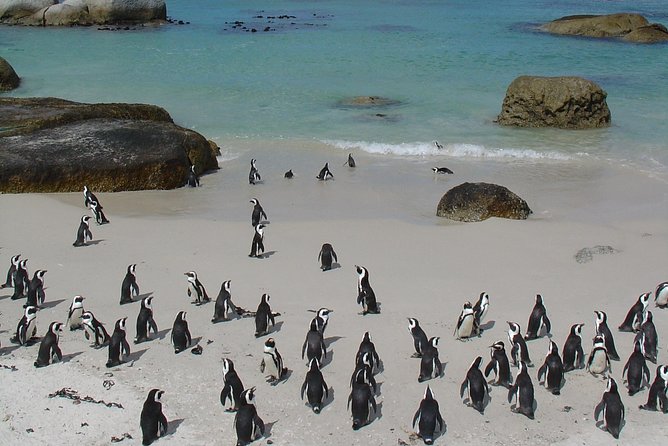 3 Day Wildlife Safari Tour - Garden Route Small Group Tour From Cape Town - Additional Details