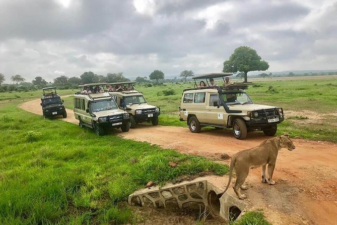 3 Days 2 Nights Adventures At Mikumi National Park - Frequently Asked Questions