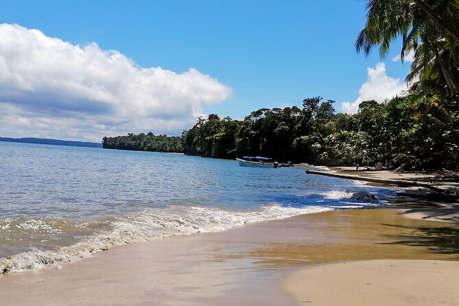 3 Days 2 Nights | Bahia Malaga: Humpback Whale Watching - Meeting Point Details