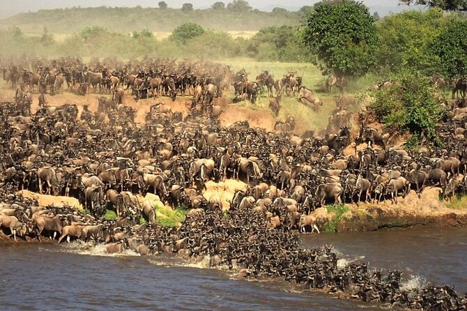 3 Days 2 Nights Masai Mara Budget Safari From Nairobi - Group Size and Interaction