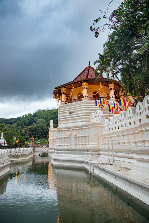 3 Days All Inclusive Kandy Nuwara-Eliya Tour From Colombo - Day 03: Nuwara Eliya